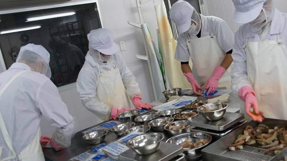 海鮮粗加工間-奇能設(shè)計(jì)百科
